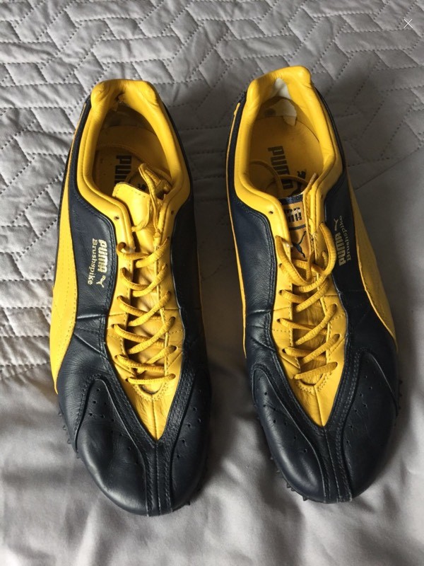 puma brushspike trainers